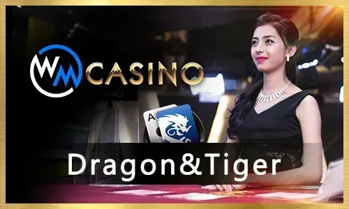 80Jili Slots and Casino Games
